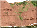 SY0279 : Cliffs at Orcombe Point by Rob Purvis