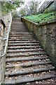 TQ7812 : Steps leading up from Battle Road by Julian P Guffogg