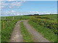 NS3776 : Farm track - looking northwest by Lairich Rig