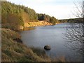  : Afternoon sun on Loch Kennard by Lis Burke