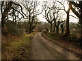 SX7063 : Lane above the Harbourne valley by Derek Harper