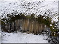  : Icicle fall on banks of  Black Gutter by Phil Catterall