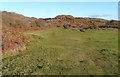 SS8477 : On the old rifle range to the south of Wig Fach by eswales