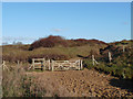 SS8577 : Gates at footpath junction on Merthyr Mawr Warren by eswales