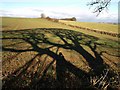 SX8855 : Shadow by Combe Lane by Derek Harper