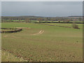 SP9552 : Arable land east of the Great Ouse by Stephen Craven