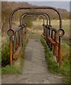 SK5997 : Rusty footbridge over the River Torne by Steve  Fareham