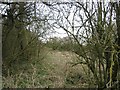 ST9998 : Thames & Severn Canal at Smerrill Farm by David Stowell