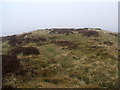 SD4899 : The nameless 395m top on Potter Fell by David Brown