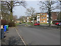 SJ8093 : Chorlton - Meadow Court Flats On Hackness Road by Peter Whatley