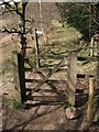 SX7290 : Gate on path near Castle Drogo by Derek Harper