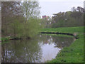 SO8378 : Approaching Kidderminster on the S & W Canal by Row17