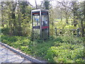 TM3865 : Telephone Box, Dorleys Corner by Geographer