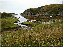  : Creek north of Rubh Ardalanish by philrh