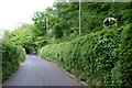 SX9476 : Looking down Luscombe Hill near Oak Cottage by Robin Stott