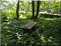 SX9267 : Picnic table, Watcombe by Derek Harper