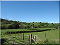  : Pasture towards the Wye by Bill Nicholls