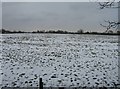 SU6362 : Empty fields in winter by Mr Ignavy