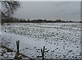 SU6362 : Snow covered fields by Mr Ignavy