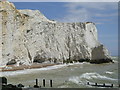 TV4898 : Seaford cliffs by nick macneill