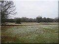 SP8406 : Frosty Coombe Hill by Mr Ignavy