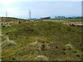 NS3678 : The first of a group of three cairns by Lairich Rig