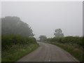 NT4881 : Minor road heading towards Luffness by James Denham