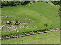 NY7206 : Rock outcrop above Scandal Beck (2) by Stephen Craven