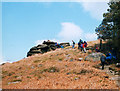 SE1359 : Rock outcrop, Roundell's Allotment by Stephen Craven