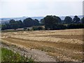  : Harvesting near Clyffe Pypard by Maigheach-gheal