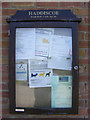 TM4496 : Haddiscoe Village Notice Board by Geographer