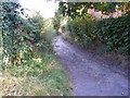 TM3258 : Lane off Church Road, Marlesford by Geographer