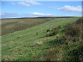 SS8394 : Grazing land and moorland on the slopes of Foel Trawsnant by eswales