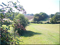  : Hertfordshire Way, South-east of Chipperfield by Colin Smith