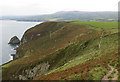 SN0141 : Pembrokeshire Coast Path, above Pwll Glas by Pauline E