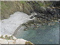 SM7509 : Atlantic grey seals use this beach for calving by Dr Duncan Pepper