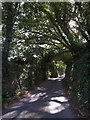 SX7343 : Lane south of Kingsbridge by Derek Harper