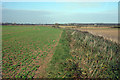 TQ9728 : Field and Drainage Ditch at Walland Marsh by Oast House Archive