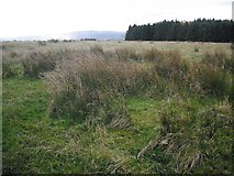 NS5090 : Rough grazing,  Blairfad by Richard Webb