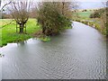 SU0425 : River Ebble near Broad Chalke by Maigheach-gheal