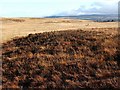 NS3678 : The third of a group of three cairns by Lairich Rig