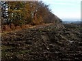 NS8384 : Ploughed field near Torwood Castle by Lairich Rig