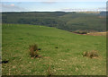 SS8394 : Grazing land above the Afan Valley, Foel Trawsnant by eswales