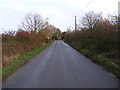 TG0524 : Reepham Road, Themelthorpe by Geographer