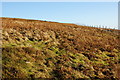  : Hawkswick Moor by Ian Greig