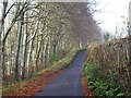  : Lane above Bickleigh Vale by Derek Harper