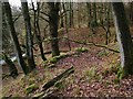 NS4177 : Remains of a lime-kiln by Lairich Rig