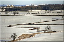  : Fields Near Pond Dale by Mick Garratt