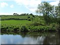 NS7752 : The River Clyde near Upper Carbarns Farm by Lairich Rig