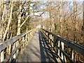 NS4672 : Footbridge at the Saltings by Lairich Rig